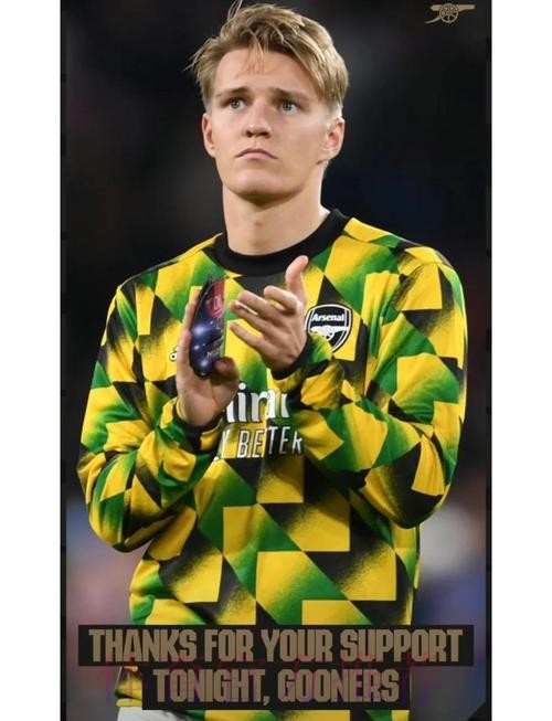 厄德高:遗憾无缘欧洲杯 塞尔维亚踢得比我们好 厄德高:遗憾无缘欧洲杯 塞尔维亚踢得比我们好